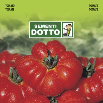 SEMENTI DOTTO - EXTRA_POMODORO COSTOLUTO FIORENTINO