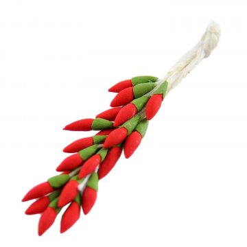 BERTONI - RAMO DI PEPERONCINI