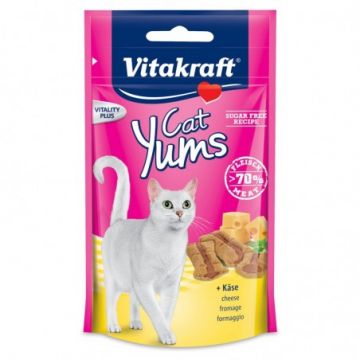 CAT YUMS FORMAGGIO  40 GR