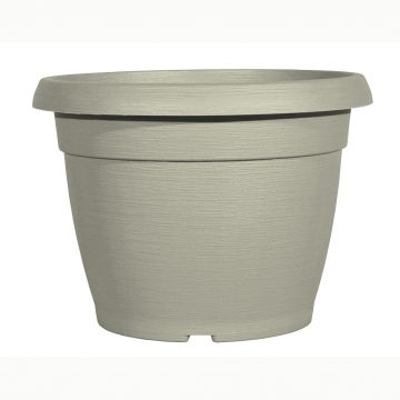 VASO SIMILCOTTO SPAZZOLATO D25 NEWBEIGE EXTRA VASO SIMILCOTTO SPAZZOLATO D25 NEWBEIGE EXTRA