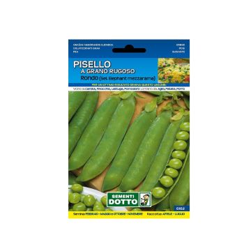 SEMENTI DOTTO - SEMENTI PISELLO A GRANO RUGOSO RONDO MEZZARAMA VARIETÀ PRODUTTIVA PER ORTO SEMIA