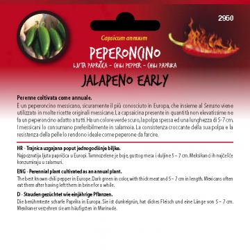 SEMENTI DOTTO - SEMENTI HOT PEPPERS JALAPENO EARLY