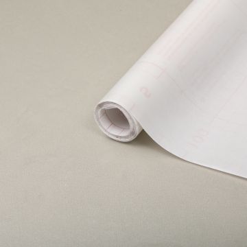 D-C-FIX - PLASTICA ADESIVA VETROFANIA TRASP SATIN DC FIX 67,5X200 CM