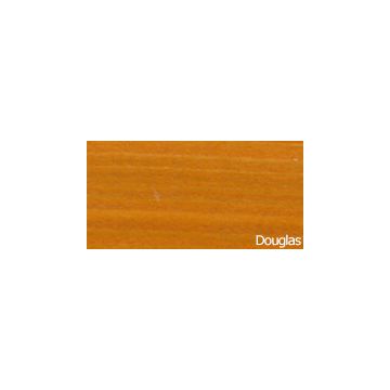 SYNTILOR - IMPREGNANTE NUTRITIVO E PROTETTIVO 2,5L DOUGLAS