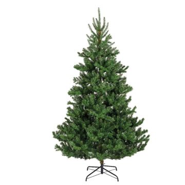KAEMINGK - ALBERO NATALIZIO ALBA VERDE INNEVATO KAEMINGK D127X210 CM