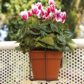 MONDO VERDE - BALCONIERA TONDA D 26 CM ANTRACITE
