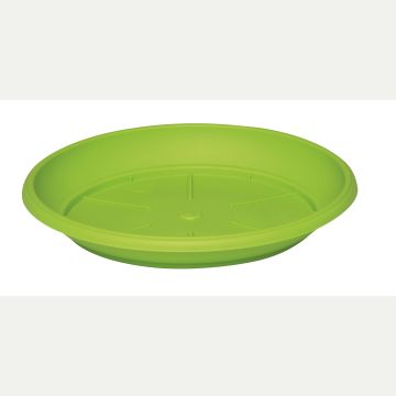 PIATTO TONDO PER SIMILCOTTO D 30 VERDE LIME PIATTO TONDO PER SIMILCOTTO D 30 VERDE LIME