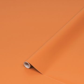 D-C-FIX - PLASTICA ADESIVA 45X200 TERRACOTTA
