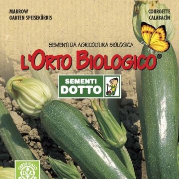SEMENTI DOTTO - SEMENTI ZUCCHINO NANO VERDE DI MILANO