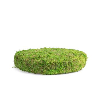 BIZZOTTO - VASSOIO IN MUSCHIO DECO BIZZOTTO EWEN D32X7H
