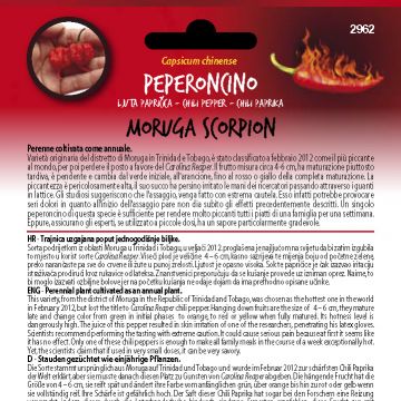 SEMENTI DOTTO - SEMENTI HOT PEPPERS MORUGA SCORPION