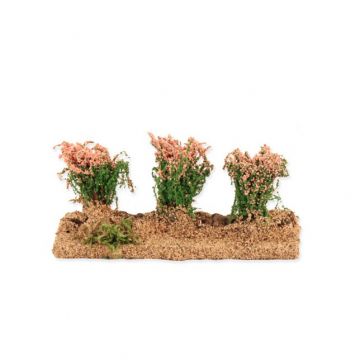 BERTONI - CAMPO DI FIORI ROSA PER PRESEPE