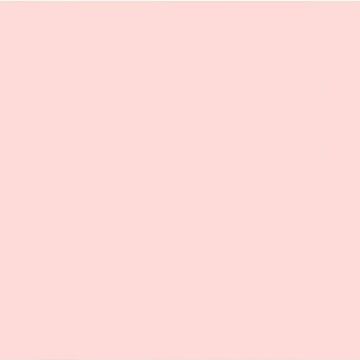 MAX MEYER - HOME COLOR PRINCESS 2,5 LT