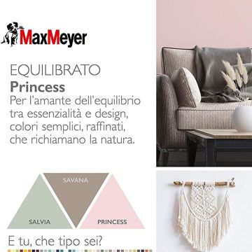 MAX MEYER - HOME COLOR PRINCESS 2,5 LT