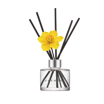 DIFFUSORE A BASTONCINI DAFFODIL 120ML - ENGLISH PEARFREE COCODOR DIFFUSORE A BASTONCINI DAFFODIL 120ML - ENGLISH PEARFREE COCODOR