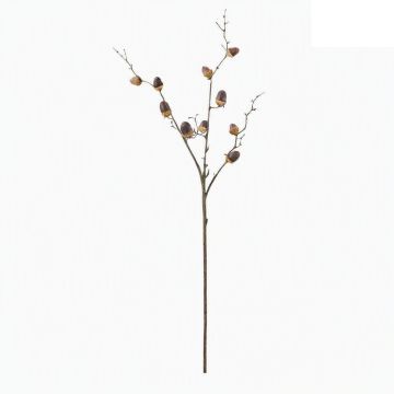 BIZZOTTO - RAMO DECORATIVO CON GHIANDE MARRONE PER COMPOSIZIONI E ADDOBBI DORYN H76CM