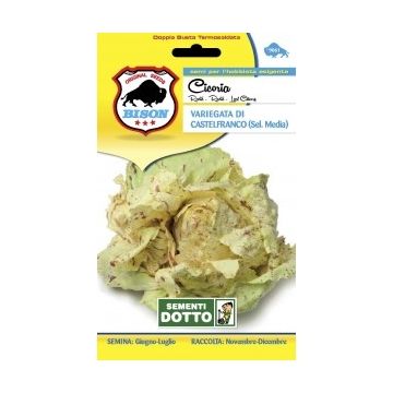 SEMENTI DOTTO - SEMENTI CICORIA CASTELFRANCO SEL M