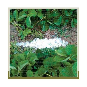 VERDELOOK - TESSUTO ANTIGRANDINE VERDE 36 GR/MQ DIMENSIONI 2X10 MT