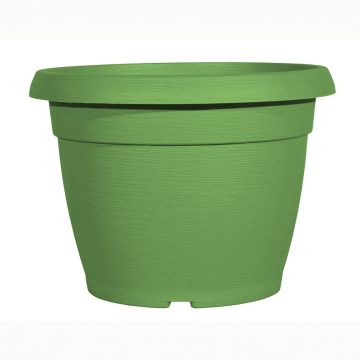 ARCA S.P.A. - VASO SIMILCOTTO SPAZZOLATO D30 NEWSALVIA EXTRA