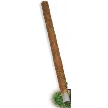 BASTONE MUSCHIATO H.150