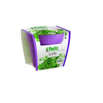 PLANTCUP TIMO PLANTCUP TIMO