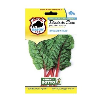 SEMENTI BIETOLA RHUBARB CHARD