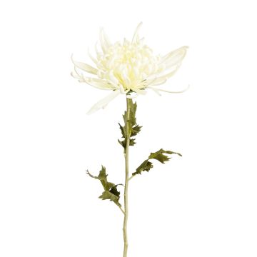 EDELMAN - CRISANTEMO ARTIFICIALE CREMA 166 CM FIORE DECORATIVO PER COMPOSIZIONI EDELMANN