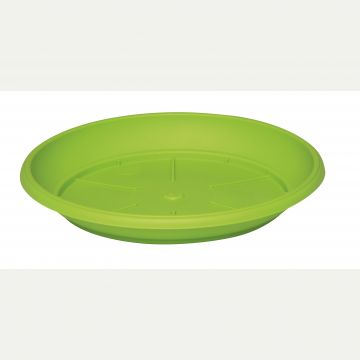 PIATTO PER VASO SIMILCOTTO DIAMETRO 25 COLORE VERDE LIME PIATTO PER VASO SIMILCOTTO DIAMETRO 25 COLORE VERDE LIME
