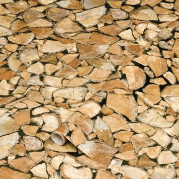 D-C-FIX - PLASTICA ADESIVA LEGNA DA ARDERE DC-FIX MINI 45X2