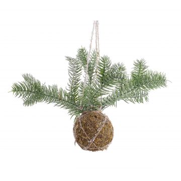 BIZZOTTO - DECORAZIONE SFERA KOKEDAMA CON PINO INN D5