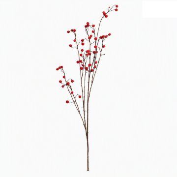 RAMO HALYN X62B C/BACCHE ROSSO H120CM RAMO HALYN X62B C/BACCHE ROSSO H120CM