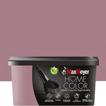 HOME COLOR MACARON 2,5 LT