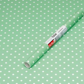 PLASTICA ADESIVA MENTA PETERSEN DC FIX MINI 45X200