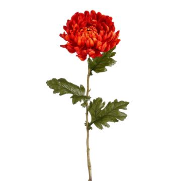 CRISANTEMO ARTIFICIALE ROSSO 174 CM FIORE DECORATIVO PER COMPOSIZIONI EDELMANN CRISANTEMO ARTIFICIALE ROSSO 174 CM FIORE DECORATIVO PER COMPOSIZIONI EDELMANN