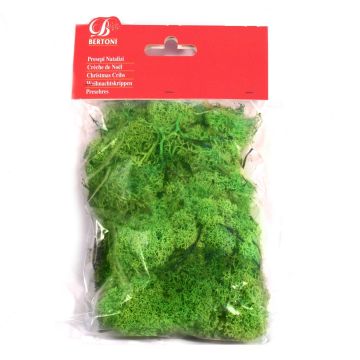 LICHENE VERDE PRESEPE MODELLISMO BERTONI 100 GR LICHENE VERDE PRESEPE MODELLISMO BERTONI 100 GR