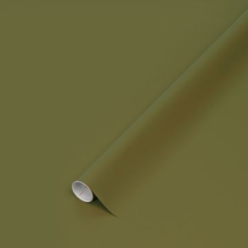 D-C-FIX - PLASTICA ADESIVA VERDE OLIVA OPACO DC FIX MINI 45X200