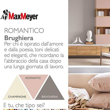 MAX MEYER - HOME COLOR BRUGHIERA 2,5 LT